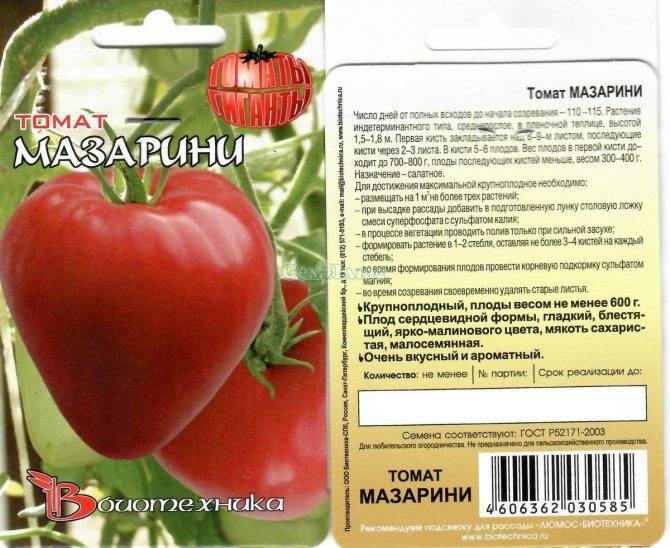 Томат мазарини f1: характеристика и описание сорта, отзывы, фото, урожайность