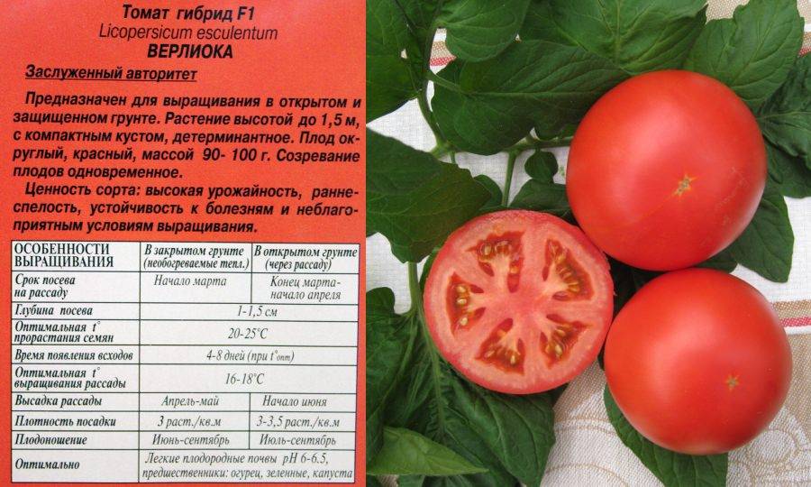 Описание селекционного томата голицын и рекомендации по выращиванию