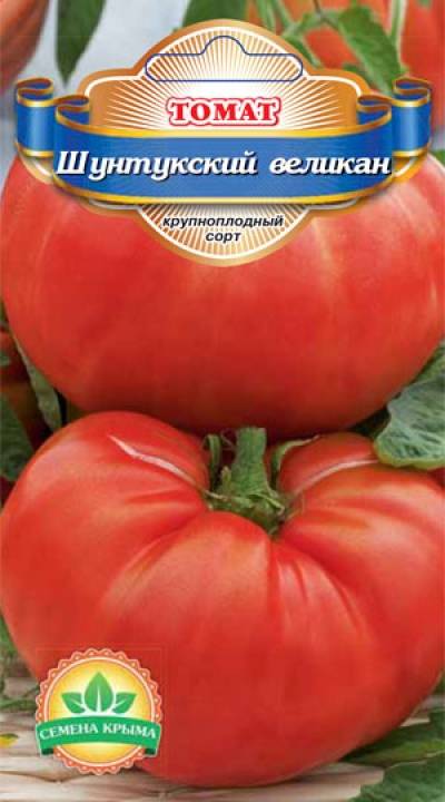 Томат «шунтукский великан». описание сорта гиганта: характеристика урожайности помидора (фото)