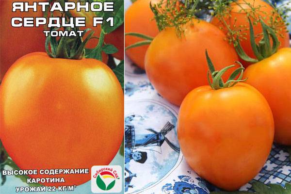 Томат янтарная гроздь f1: характеристика и описание сорта, отзывы и фото помидоров