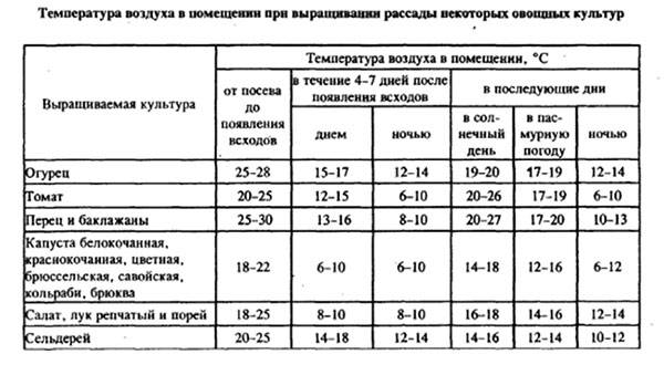 Условия для выращивания рассады: какой должна быть температура на supersadovnik.ru