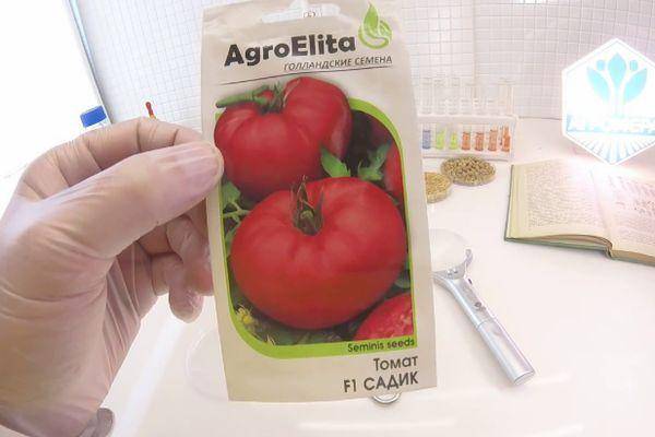 Лучшие сорта томатов для теплиц по отзывам в 2021 году