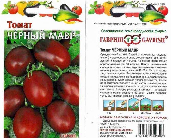 Характеристика томатов черная груша и особенности выращивания сорта