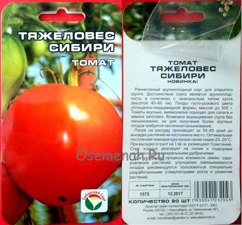 Характеристика и описание сорта томата Тяжеловес Сибири, его урожайность