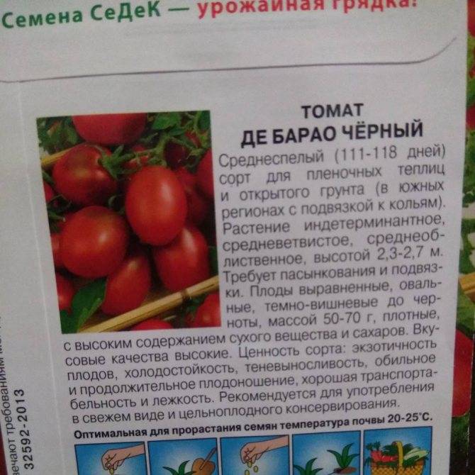 Характеристика и описание сорта томата Сладкий поцелуй, его урожайность