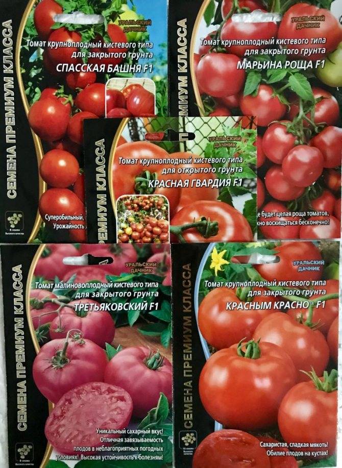 Характеристика и описание сорта томата Марьина роща, его урожайность