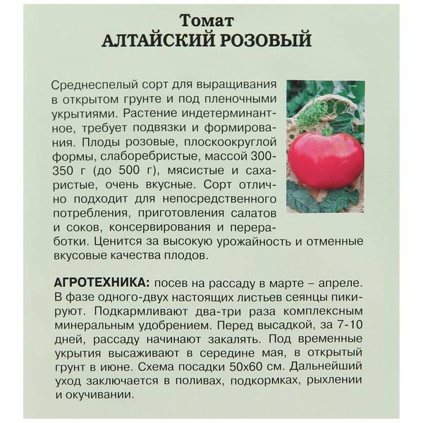 Описание сорта томатов Алтайский розовый, урожайность