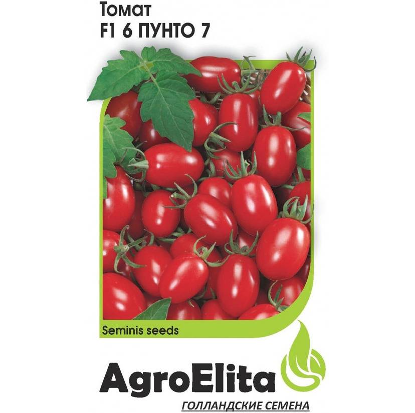 Петраросса f1 – томат для фермеров и дачников: описание гибрида и его преимущества