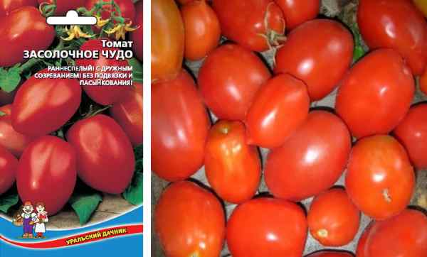 Сорт томата «сладкое чудо»: фото, отзывы, описание, характеристика, урожайность.