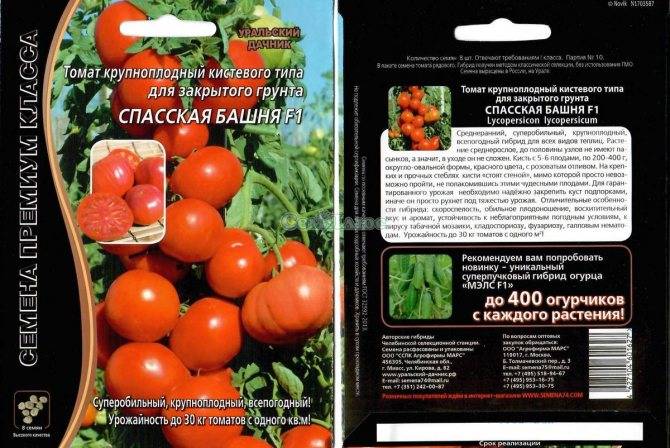 Марьина роща — описание сорта томатов, правила выращивания
