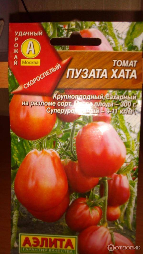 Томат татьяна: характеристика и описание сорта, отзывы и урожайность