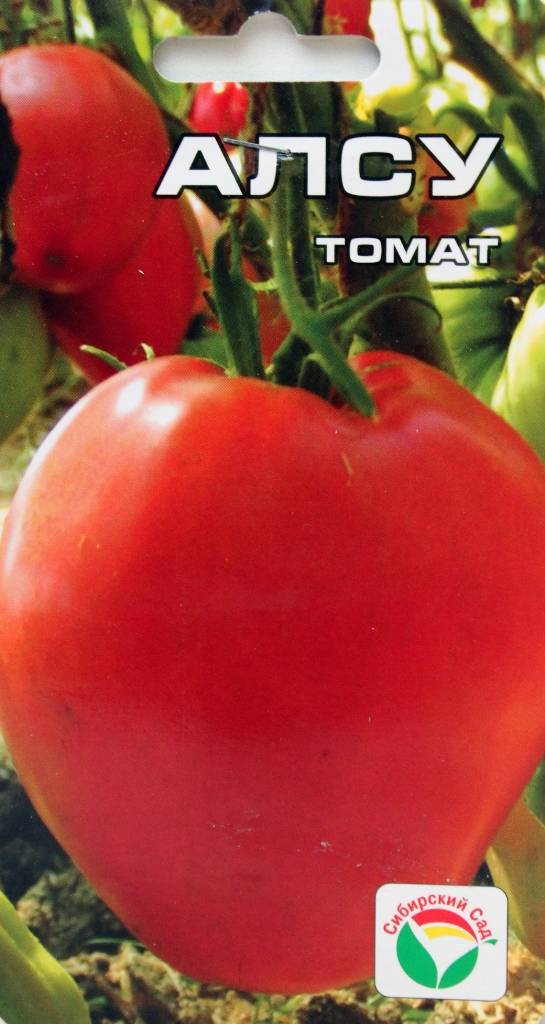 Томат алсу: описание нового сорта томатов, его характеристики и плавила выращивания