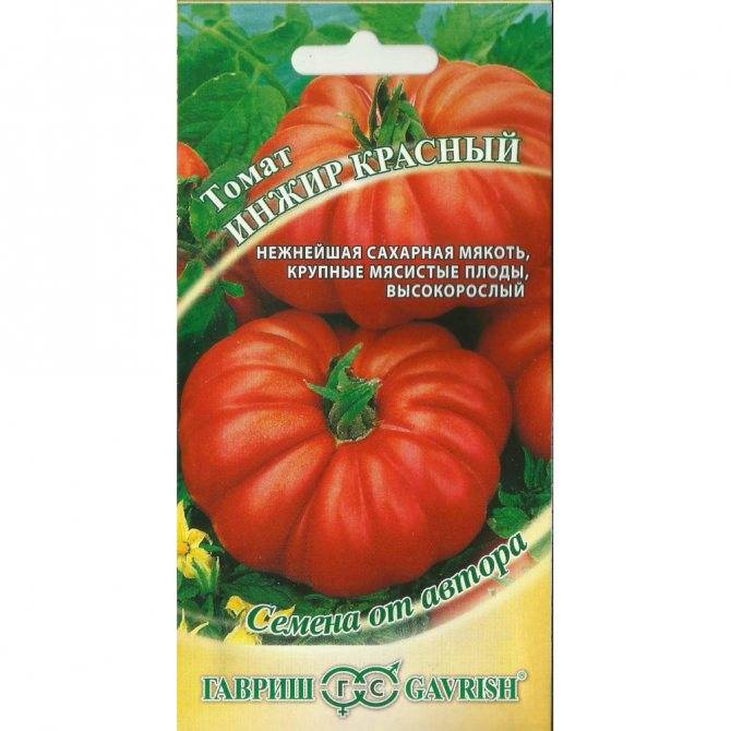 Сорт томата  «инжир красный»: описание, особенности ухода и выращивания