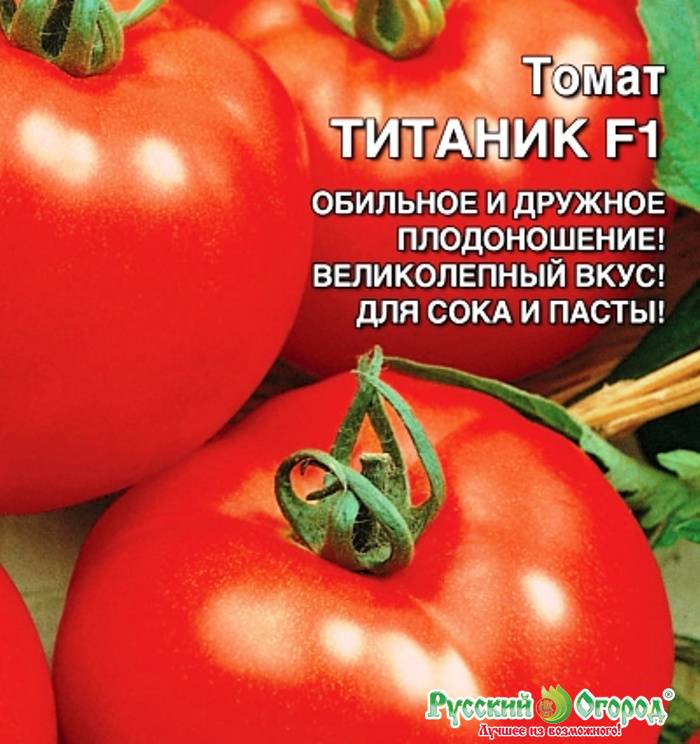 Томат титан: описание и характеристика, отзывы, фото, урожайность, | tomatland.ru