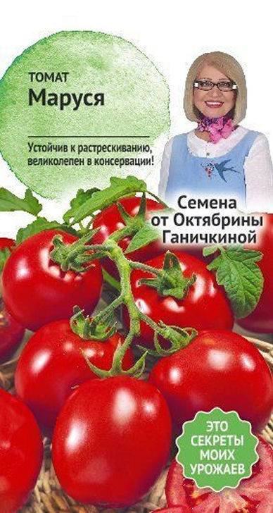 Сорт томата “маруся” – украшение вашей грядки
