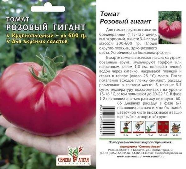 Томат гигант новикова: характеристика и описание сорта, отзывы тех кто сажал помидоры об их урожайности, фото растения